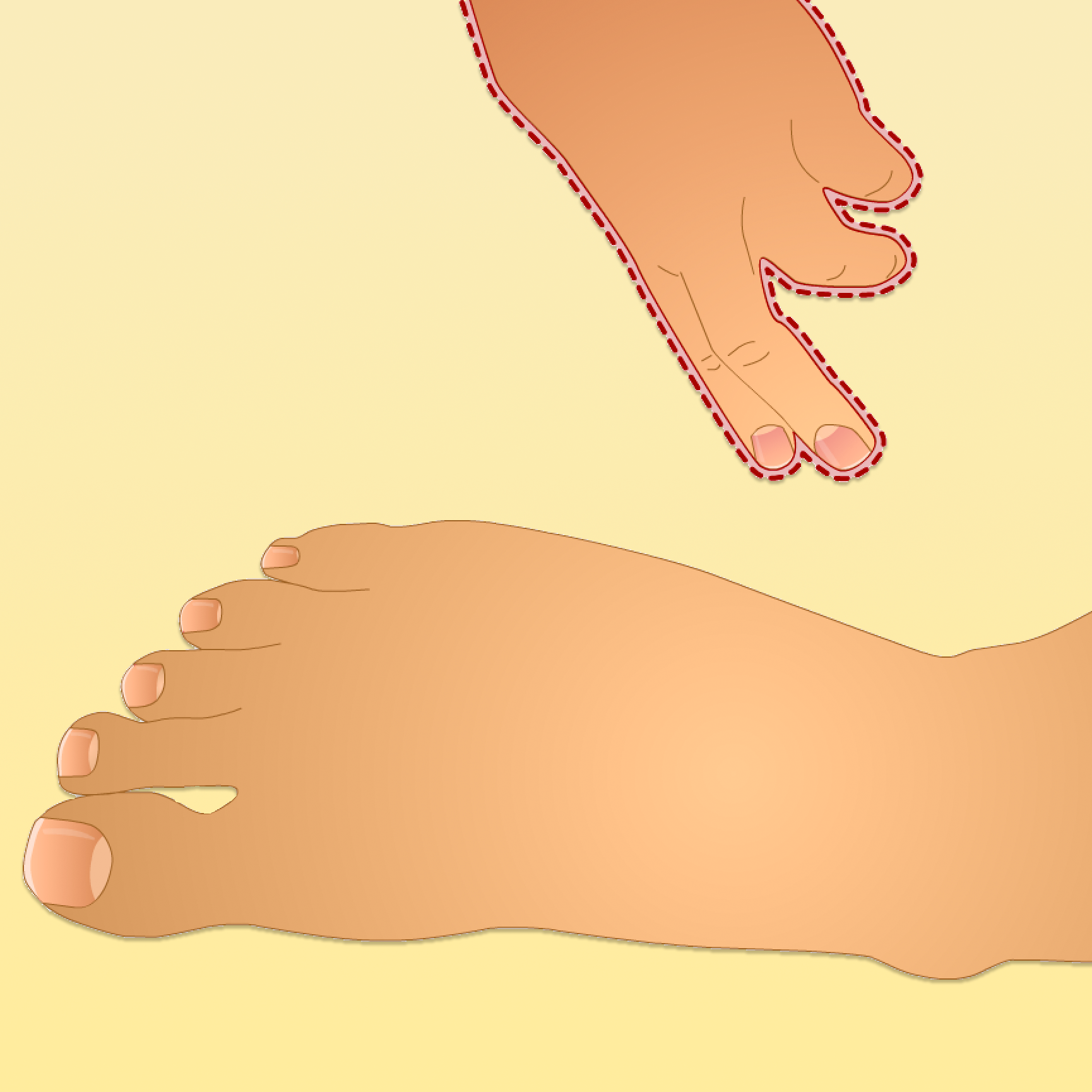 Finding the dorsalis pedis
