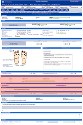 SCI-Diabetes - referral status/education: