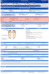 SCI-Diabetes - amputation