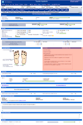 SCI-Diabetes - risk status