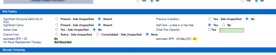 Section of SCI-Diabetes form showing other risk factors field