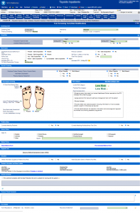 Example of SCI-Diabetes foot screening form